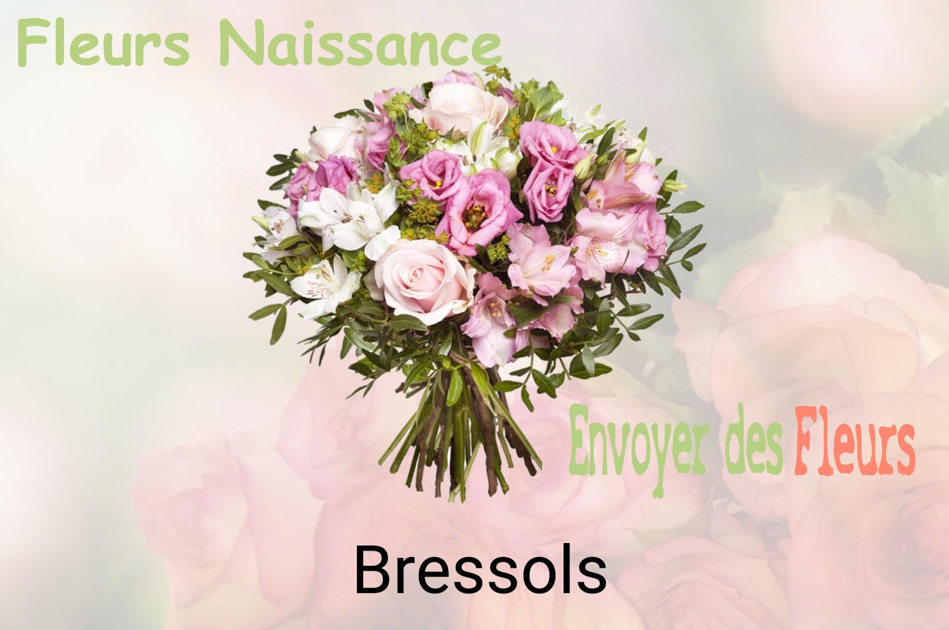 Bouquet de fleurs de naissance livré à Bressols